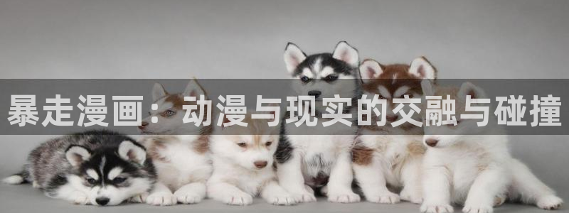 对魔忍阿莎姬妖精动漫：暴走漫画：动漫与现实的交融与碰撞